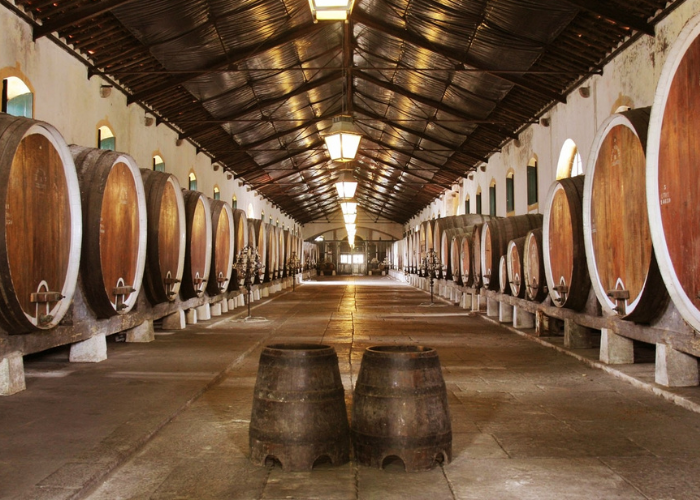 Adega de Colares